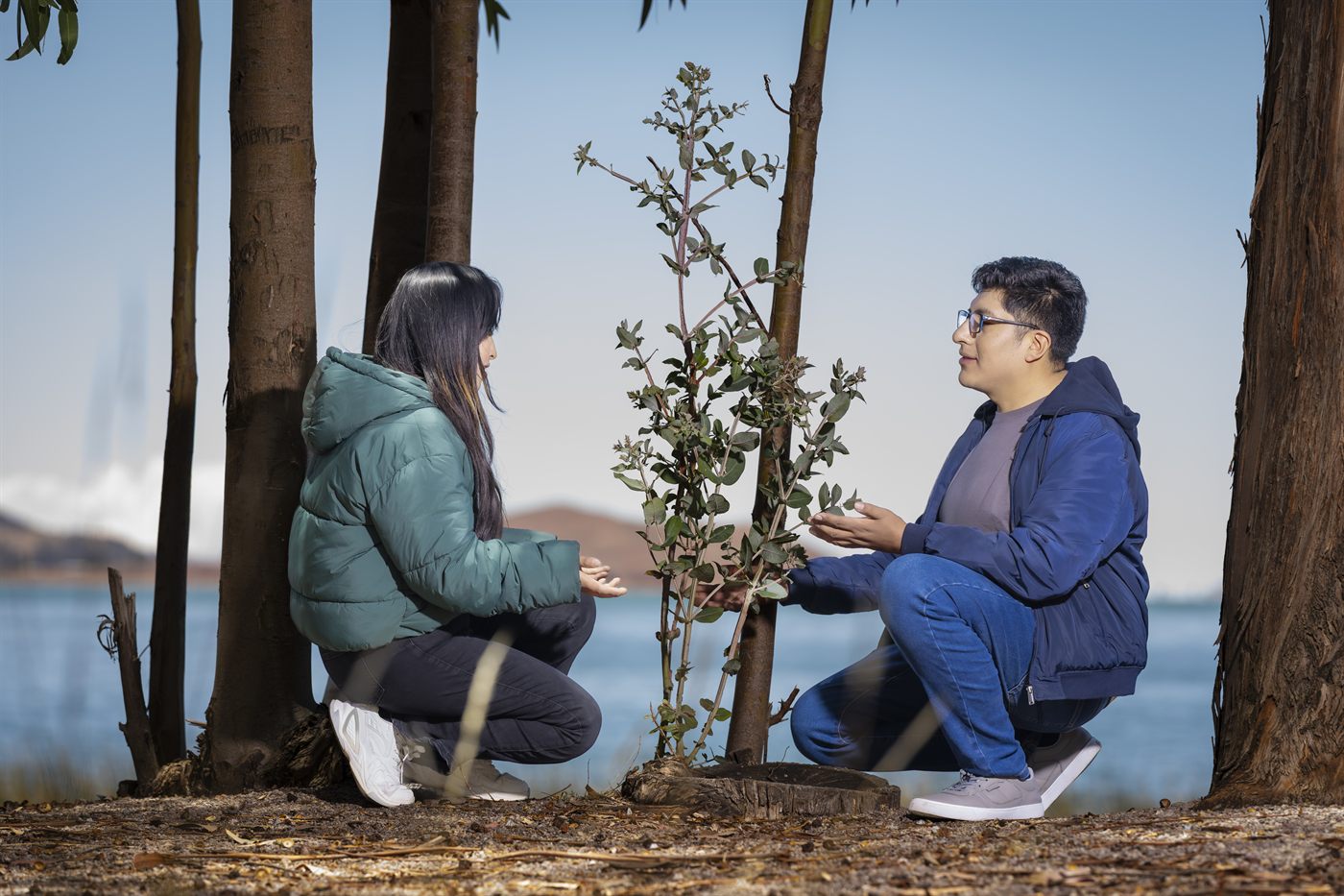Los novios agachados junto a un arbolito, frente al lago